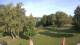 Steinbrunn 15.06.2025 08:30