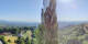 Kitzeck im Sausal 01.07.2025 08:30