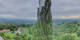 Kitzeck im Sausal 25.04.2025 08:31