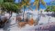 Philipsburg, Sint Maarten 06.07.2025 08:31