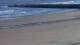Wenduine 20.04.2025 08:31