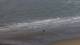 Wenduine 15.07.2025 08:33