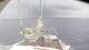Le Ponant 30.04.2025 08:32