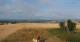 Schallodenbach 15.07.2025 08:34