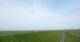 Westerhever 15.06.2025 08:31