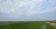 Westerhever 01.05.2025 08:32