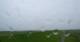 Westerhever 09.06.2025 08:31