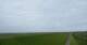 Westerhever 15.06.2025 08:31
