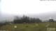 Burnt Pine (Norfolk Island) 02.07.2025 08:32