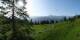 Luchsingen 15.06.2025 08:31