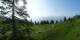 Luchsingen 09.06.2025 08:31
