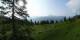 Luchsingen 09.06.2025 08:31