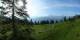 Luchsingen 15.06.2025 08:31