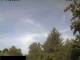 Miehlen 15.05.2025 08:33