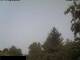 Miehlen 09.06.2025 08:33