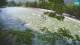 Bovec 09.06.2025 08:33
