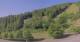 Hirschegg 15.06.2025 08:33