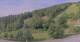 Hirschegg 11.07.2025 08:33