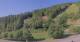 Hirschegg 05.07.2025 08:33