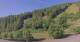 Hirschegg 15.06.2025 08:33