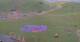 Kuzun 09.07.2025 08:33
