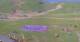 Kuzun 19.05.2025 08:33
