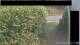 Hasloch am Main 09.06.2025 08:33