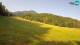 Kranjska Gora 15.06.2025 08:33