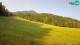 Kranjska Gora 09.06.2025 08:33