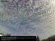 Zerbst/Anhalt 02.07.2025 08:33