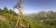 Maloja 15.06.2025 08:36