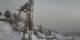 Maloja 09.05.2025 08:36