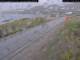 Kongsfjord 15.06.2025 08:34