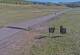 Creede, Colorado 08.06.2025 08:36
