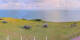 Donville-les-Bains 15.06.2025 08:04