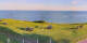 Donville-les-Bains 01.05.2025 08:11