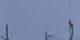 Crans-Montana 06.05.2025 08:34