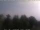 Giamosa 25.06.2025 08:35