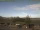 Baabe (Rügen) 23.04.2025 08:50