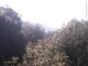 Herdecke 30.04.2025 08:50