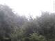 Herdecke 22.05.2025 08:50