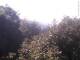 Herdecke 11.05.2025 08:50