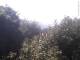 Herdecke 18.04.2025 08:50