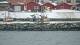 Kjøllefjord 30.04.2025 08:50