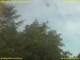 Nettetal 14.06.2025 08:50