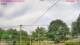 Thatcham 22.06.2025 08:51