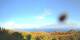 Puntagorda (La Palma) 15.06.2025 08:51