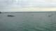 Fouesnant 30.04.2025 08:51