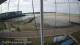 Brightlingsea 15.07.2025 08:54