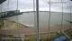 Brightlingsea 05.07.2025 08:51